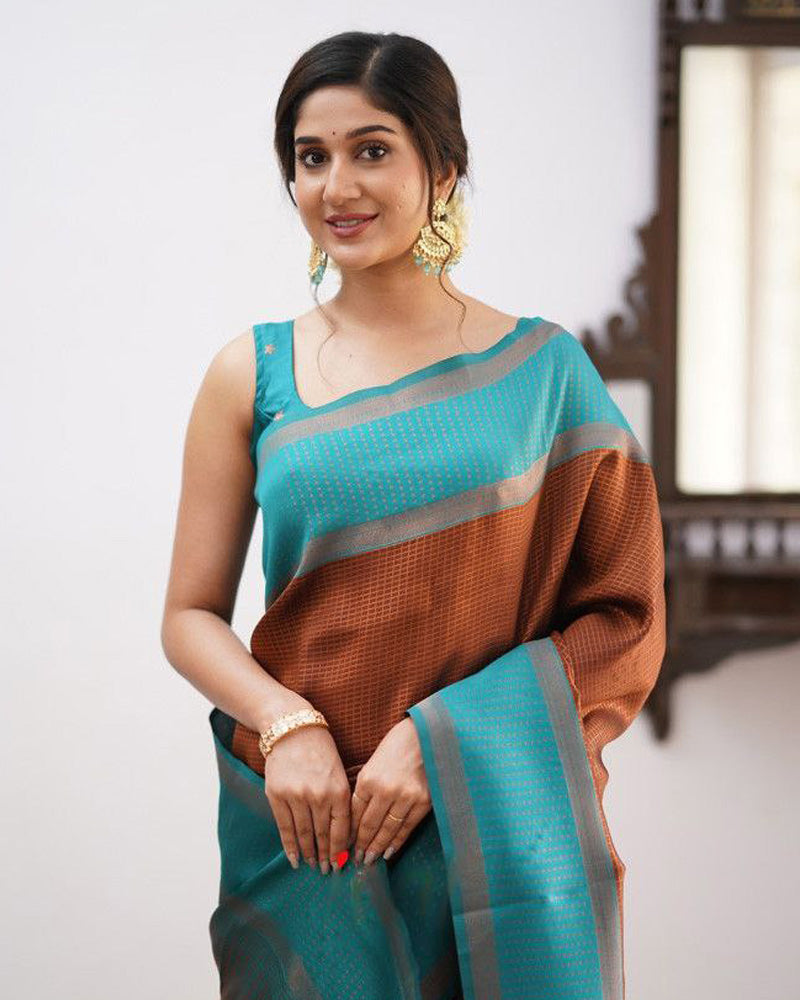 Sky Blue And Brown Color Soft Banarasi Silk Saree