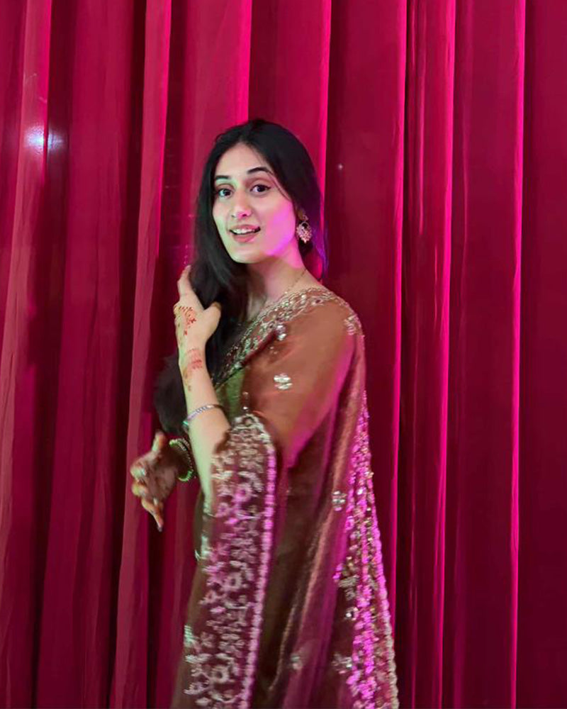 Vandana Kholiya In Brown Color Fendi Chiffon Sequence Embroidered Saree