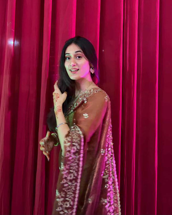 Vandana Kholiya In Brown Color Fendi Chiffon Sequence Embroidered Saree