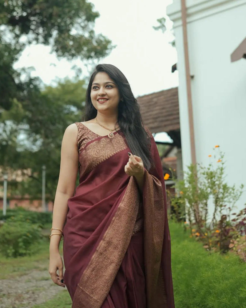 Beautiful Brown Color Jacquard Print Banarasi Soft Silk Saree