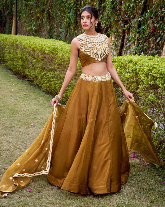 Mustard Gold Color Chanda Silk Embroidered Lehenga Choli