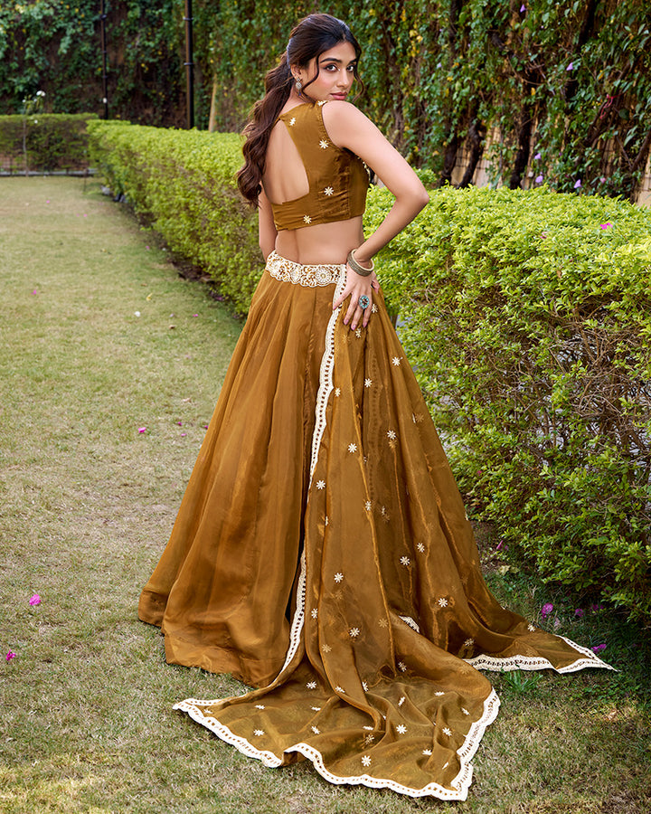 Mustard Gold Color Chanda Silk Embroidered Lehenga Choli