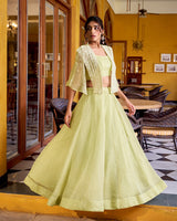 Pista Color Allnene Crush Embroidered Lehenga Choli