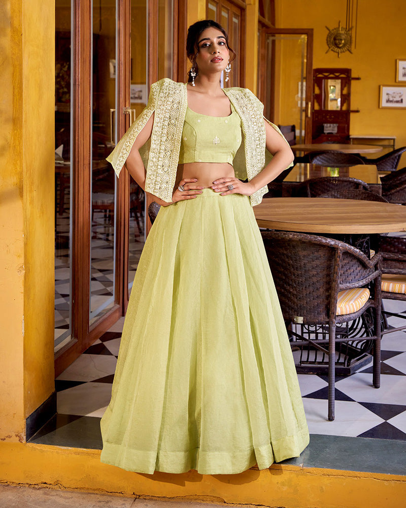 Pista Color Allnene Crush Embroidered Lehenga Choli