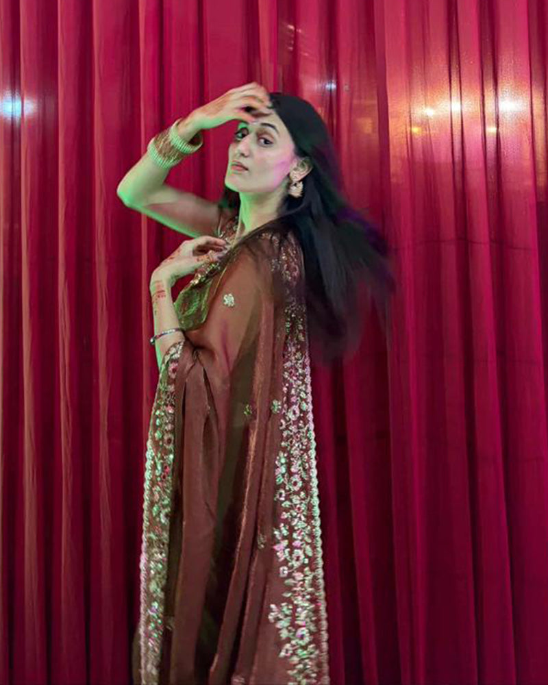 Vandana Kholiya In Brown Color Fendi Chiffon Sequence Embroidered Saree