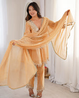 Chikoo Color Fendi Silk Embroidered Plazzo Suit